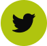 Social 1